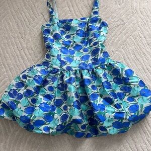 Adrianna Papell Elegant Blue and Green Dress